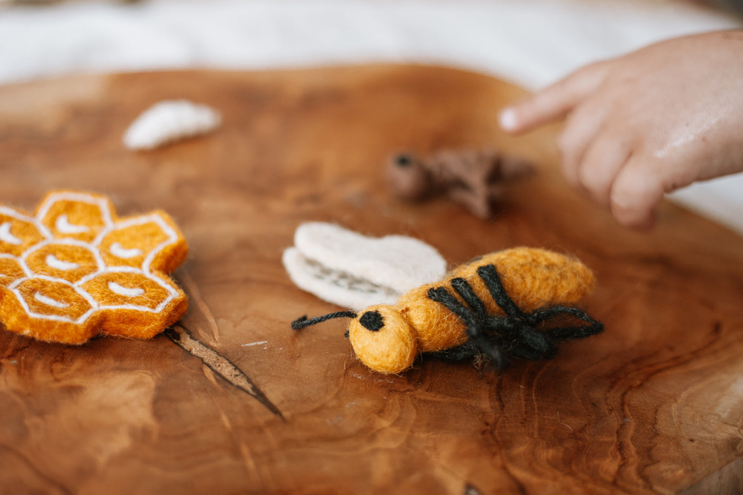 Life Cycle of a Honey Bee