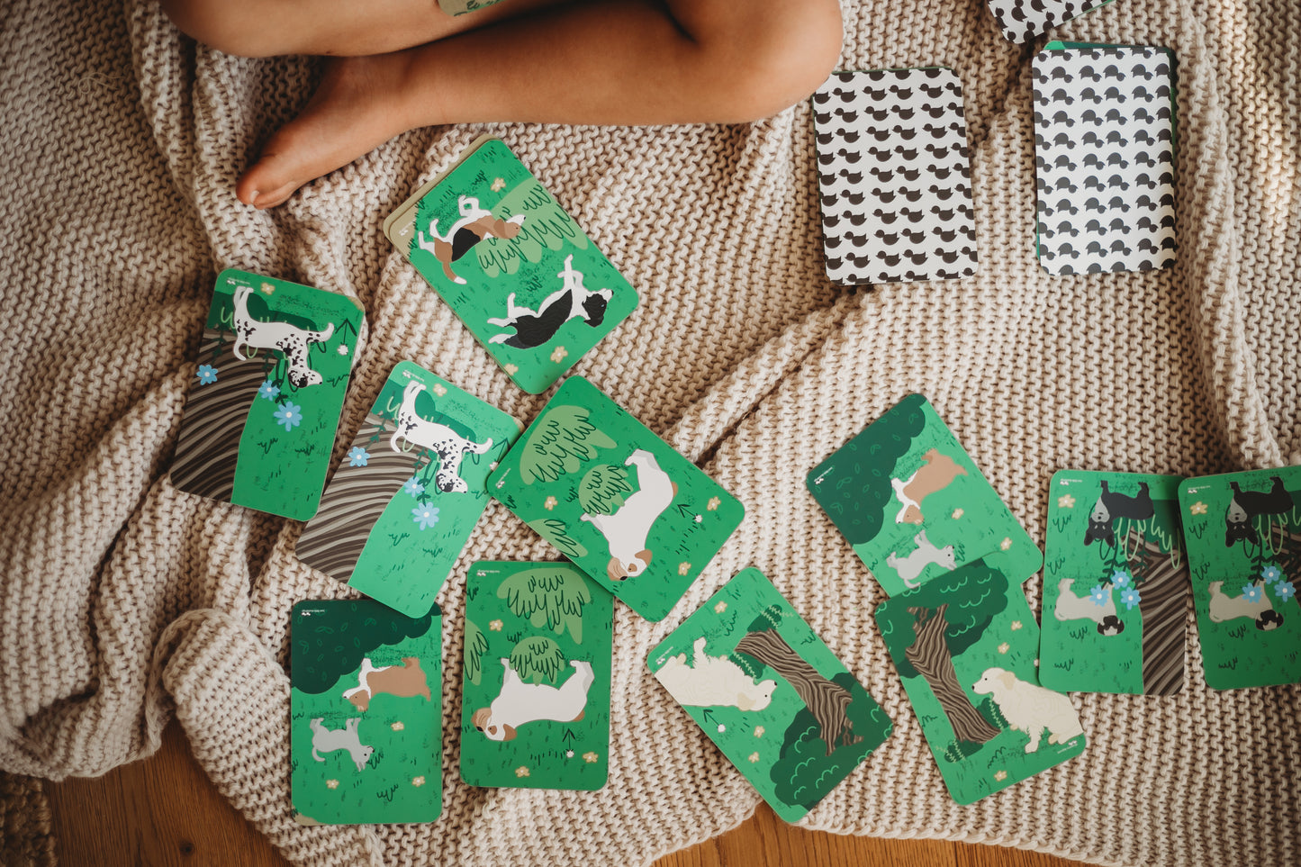 Paws at Play - Snap & Memory Game