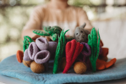 Coral Reef Play Mat Playscape