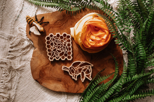 Teddy Bear Bee & Honey Comb Eco Cutter Set