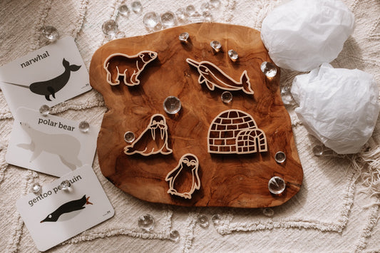 Mini Arctic Eco Cutter Set