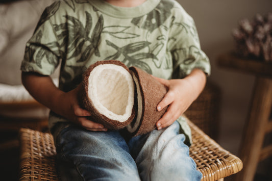 Felt Coconut (2 Halves)