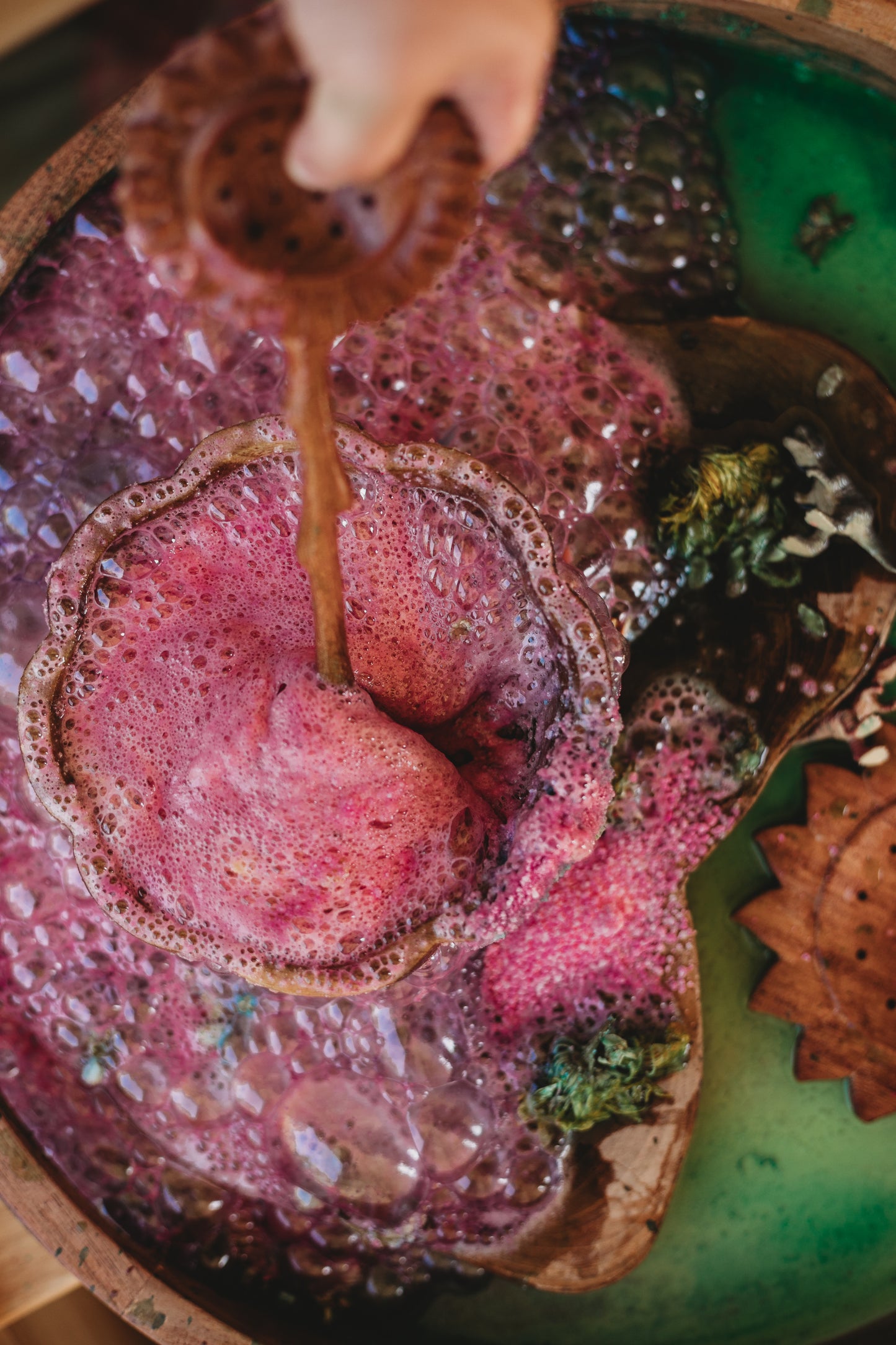 Anemone Saltwater Fizz - Medium