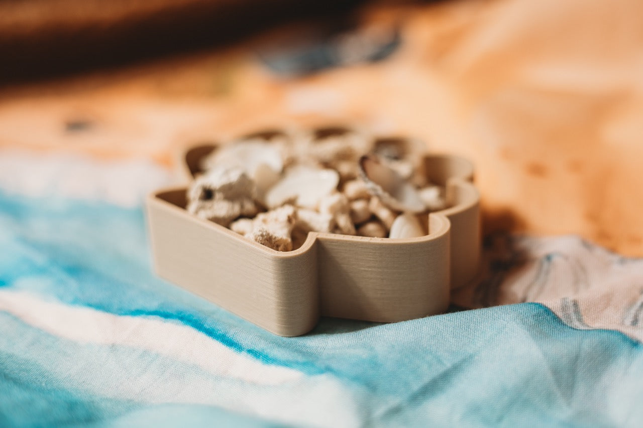 Sea Shell Eco Mould
