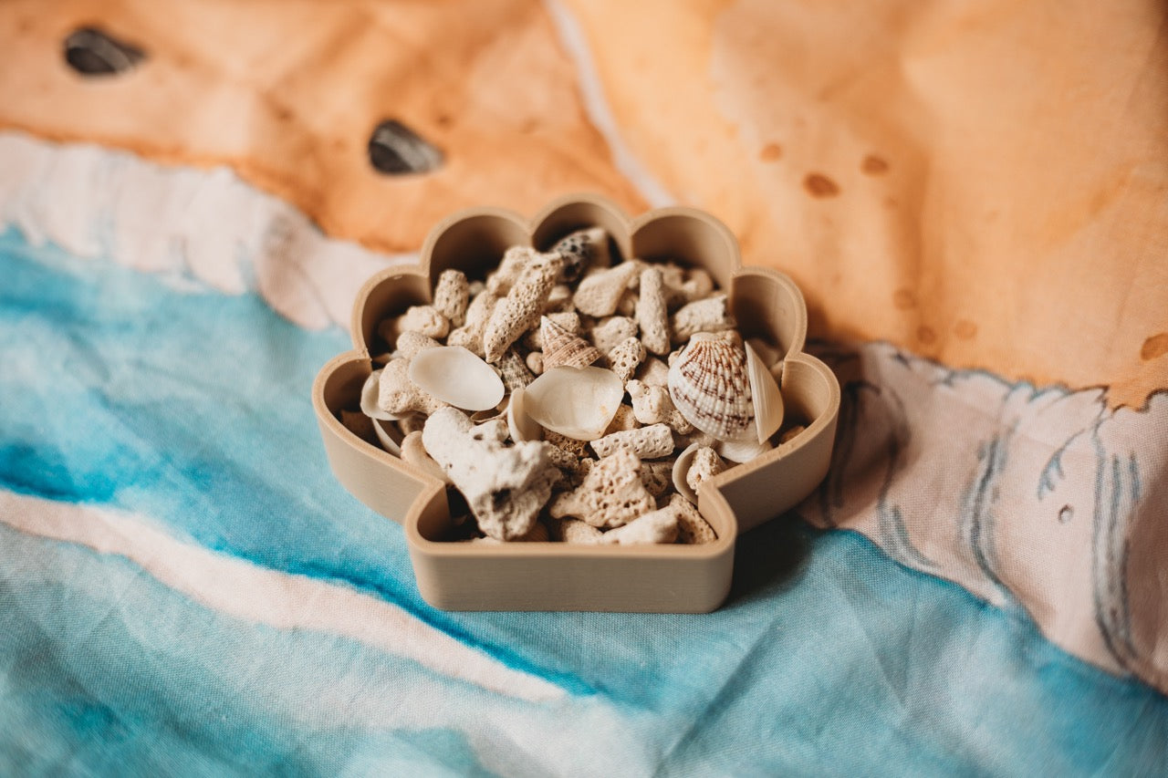 Sea Shell Eco Mould