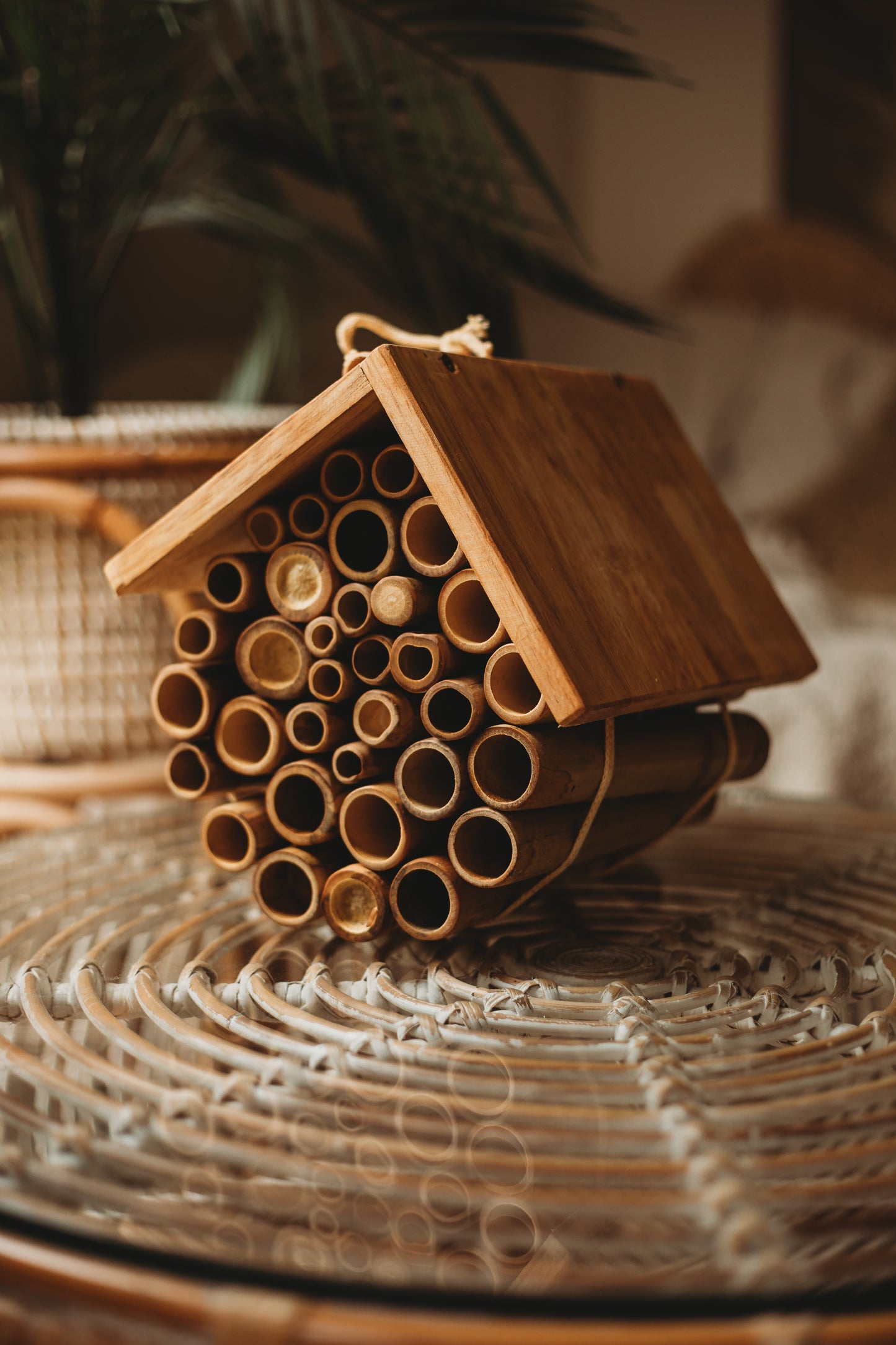 Hanging Bee House