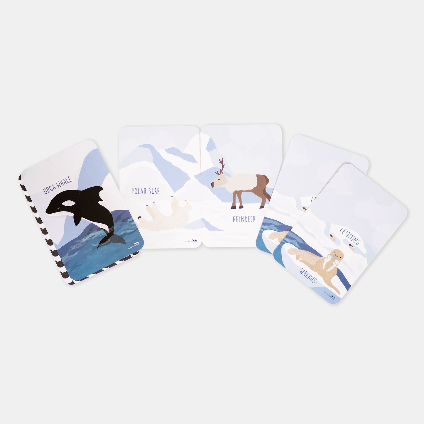 Explore the Arctic - Snap & Memory Game