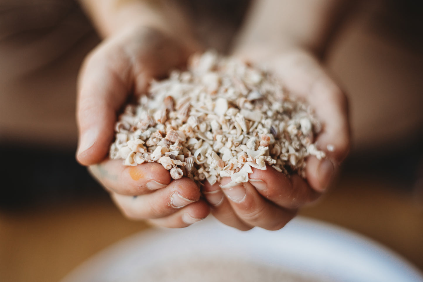 Shell Sand Sensory Base (Large) | Ocean & Beach Sensory Play