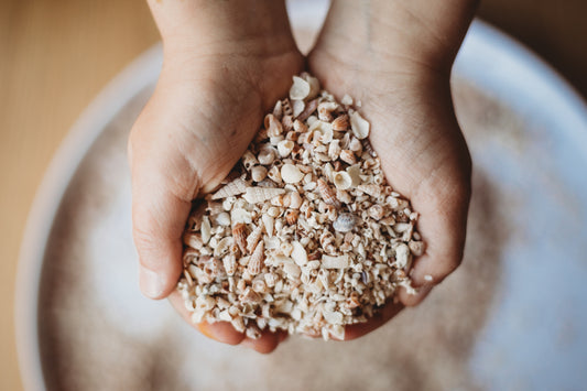 Shell Sand Sensory Base (Large) | Ocean & Beach Sensory Play