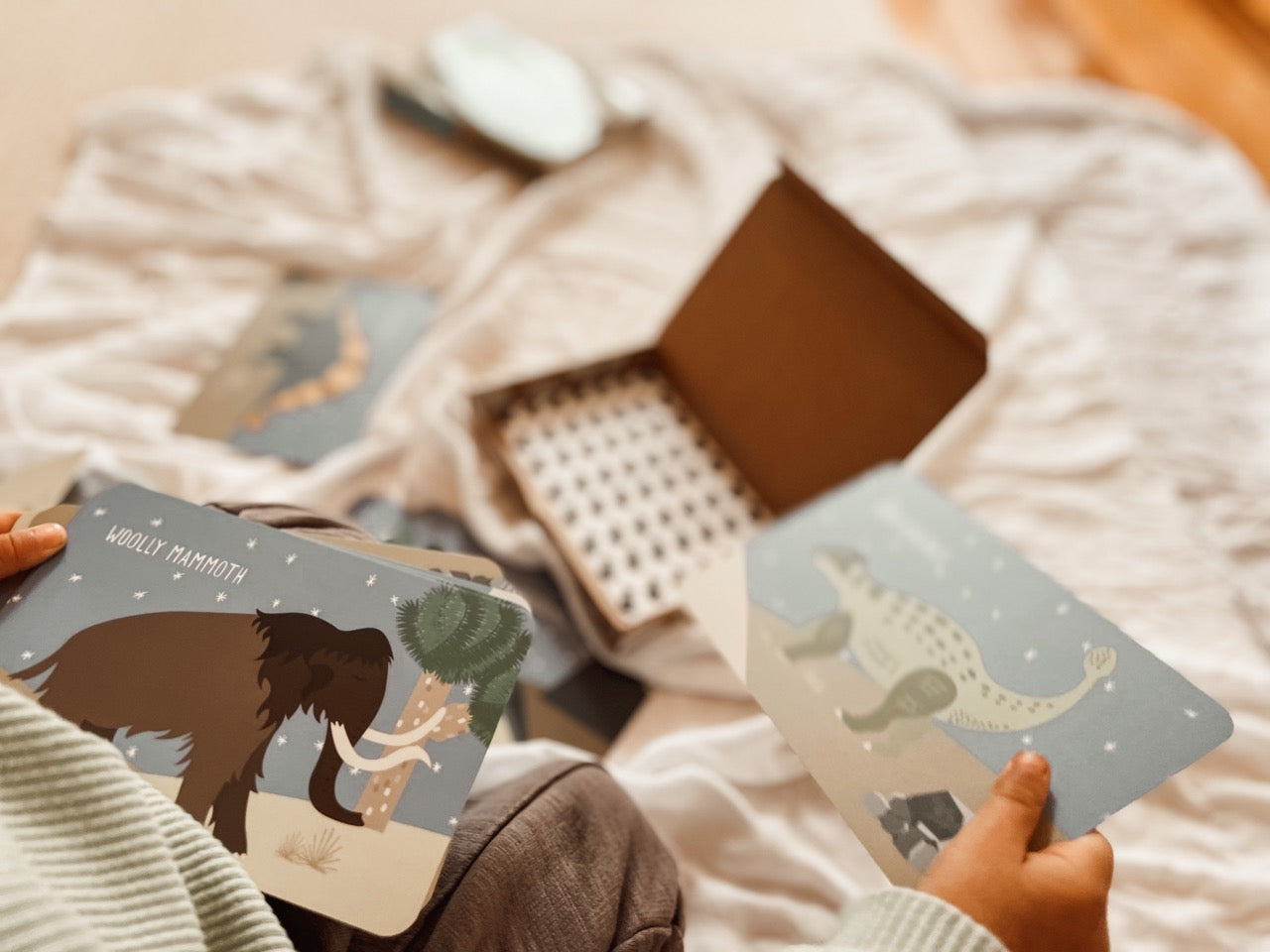 Prehistoric - Snap and Memory Game