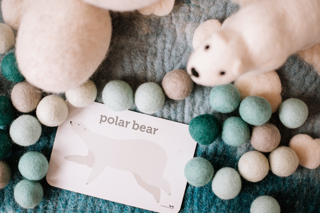 Sea Life Flash Cards