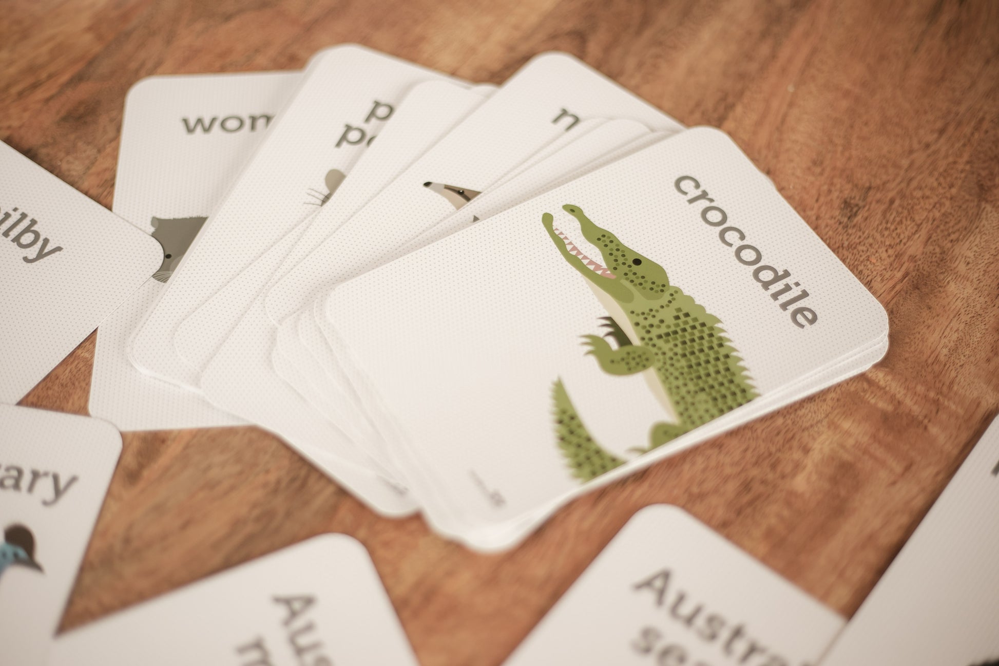 Animal Sounds Flash Cards Two Little Ducklings