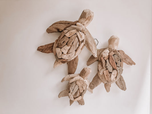 Driftwood Bale of Turtles Wall Art