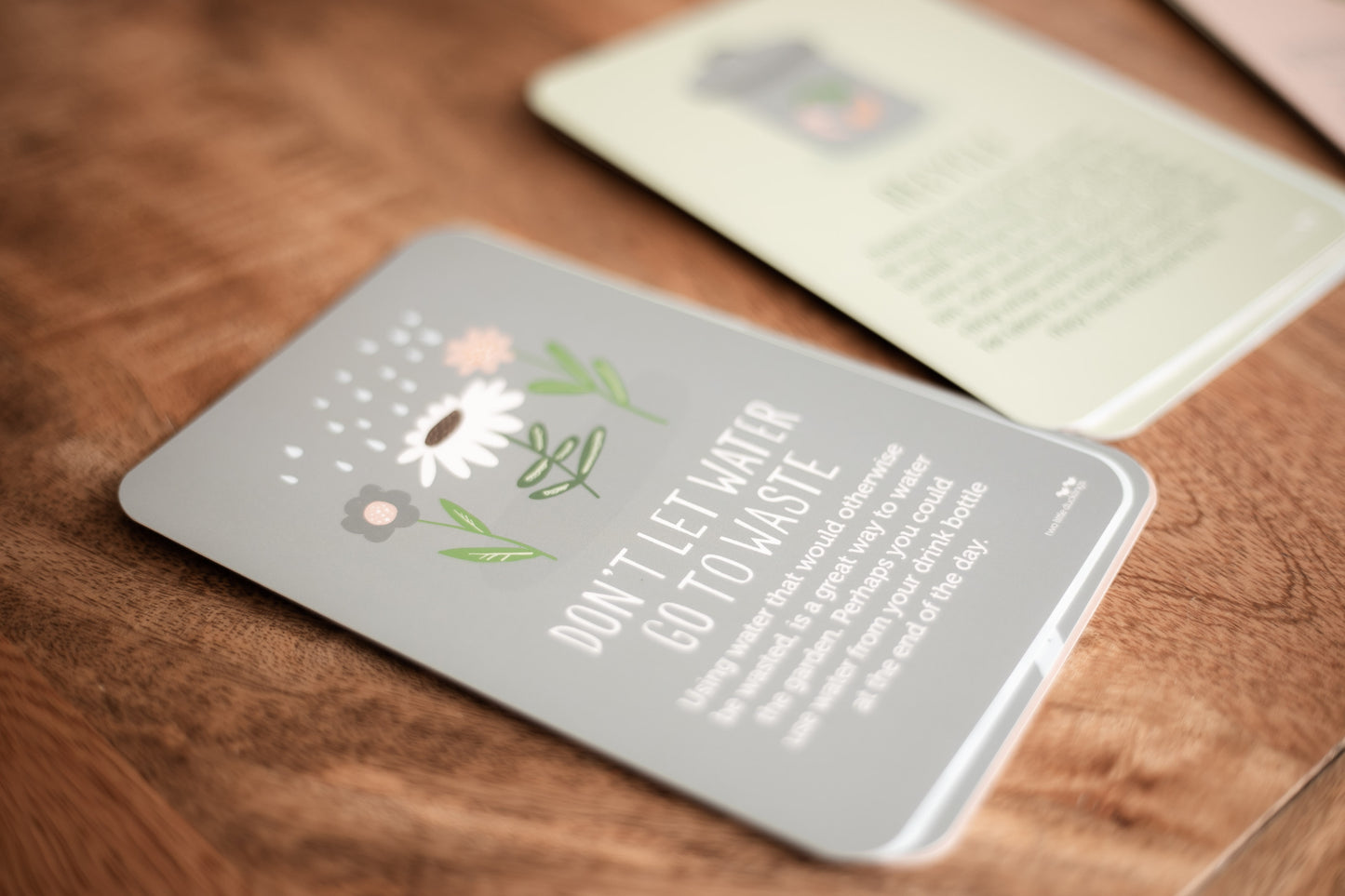 Planet Love Flash Cards Two Little Ducklings