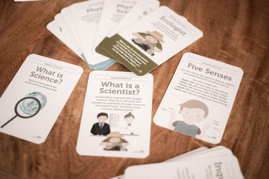 Science Flash Cards Two Little Ducklings