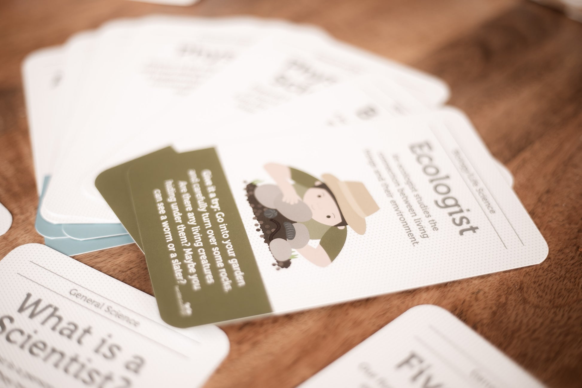 Science Flash Cards Two Little Ducklings