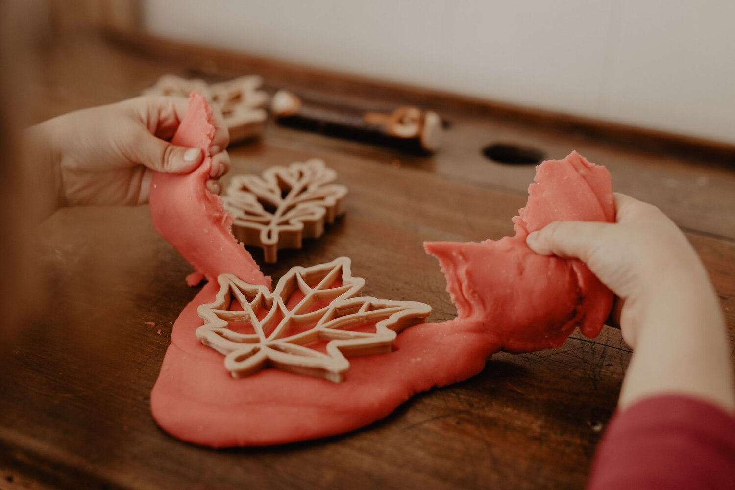 kinfolk pantry Leaf Eco Cutter Set the saltwater collective