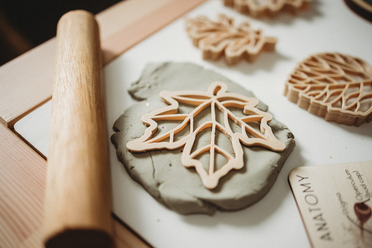 kinfolk pantry Leaf Eco Cutter Set the saltwater collective
