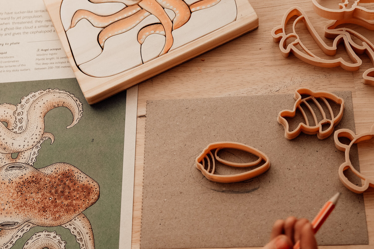 kinfolk pantry Mini Under The Sea Eco Cutter Set the saltwater collective