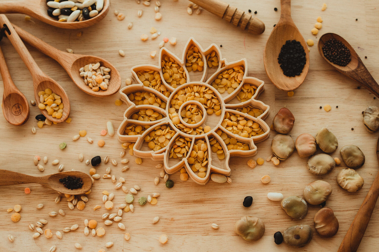 kinfolk pantry Sunflower Eco Cutter the saltwater collective