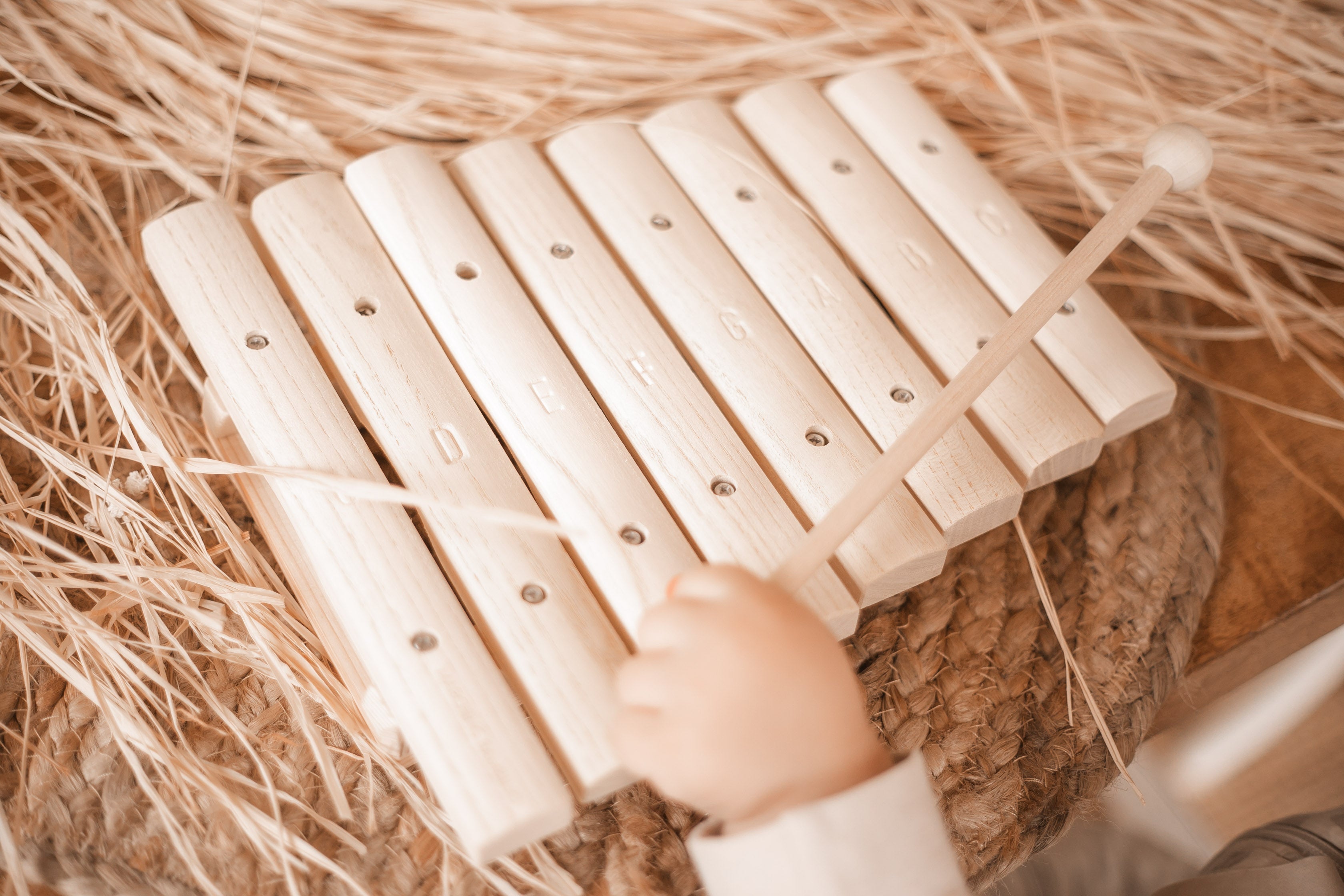 Xylophone The Saltwater Collective