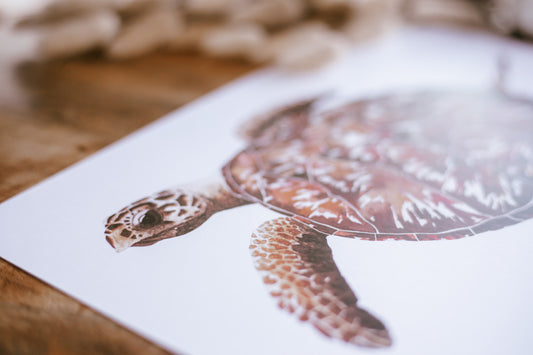Hawksbill Sea Turtle water colour painting pretty palm tree