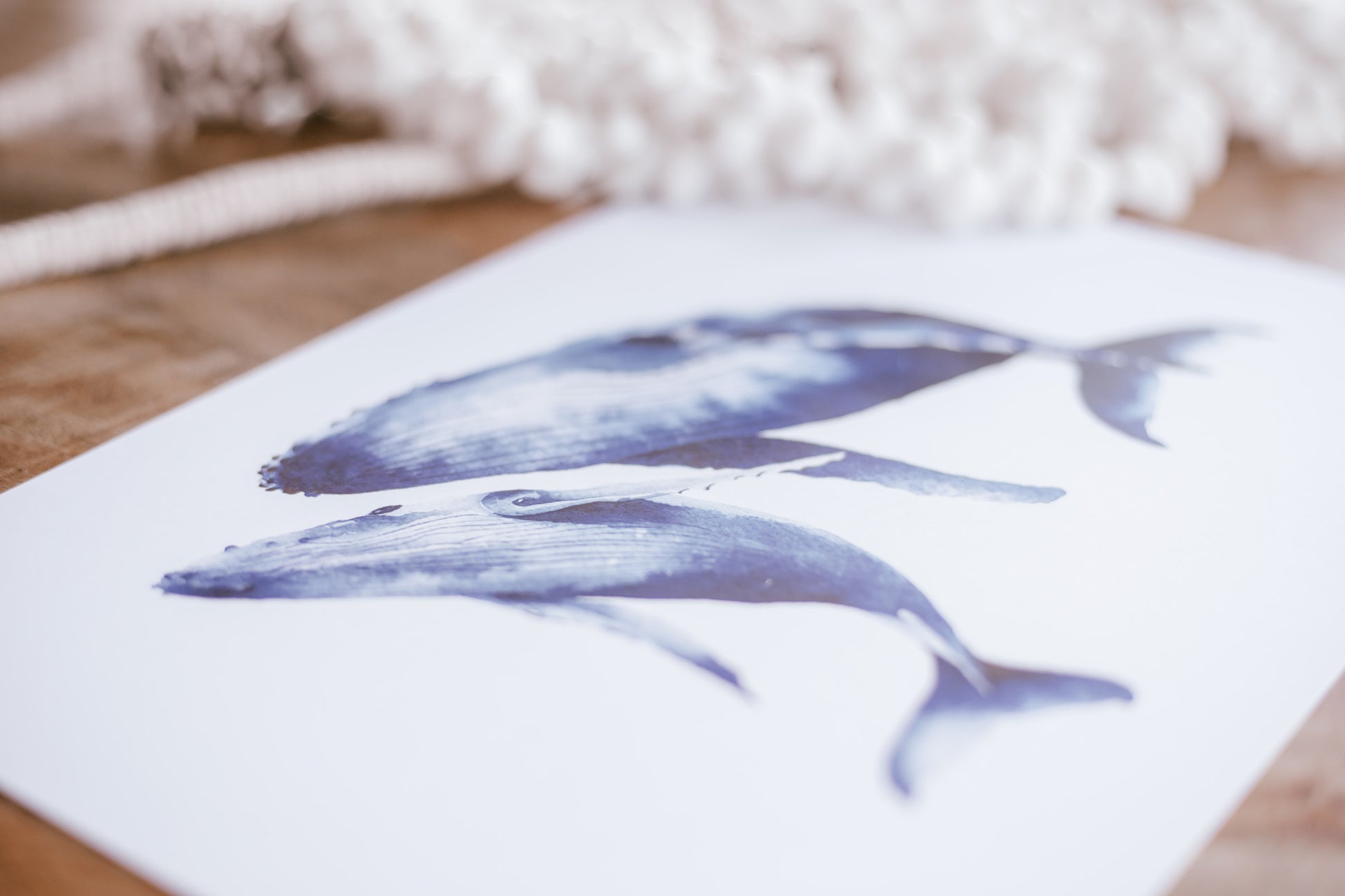Humpback Whale and Calf water colour painting pretty palm tree