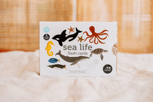 Sea Life Flash Cards