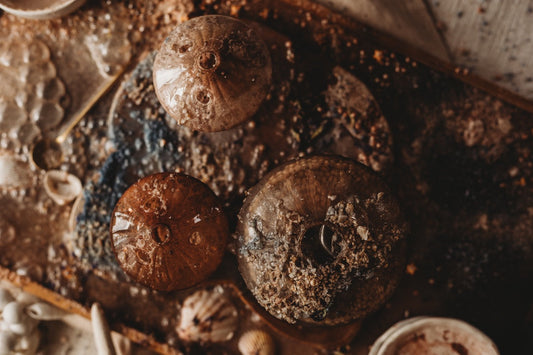 Underwater Mushroom Garden Potion Tray | Coastal Sensory Play Idea