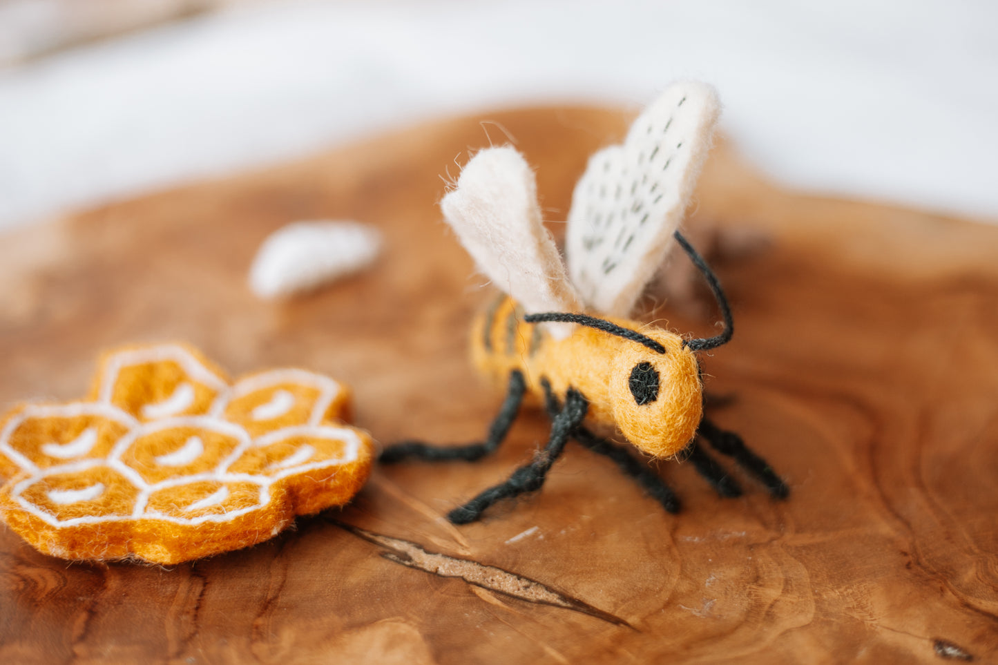 Life Cycle of a Honey Bee