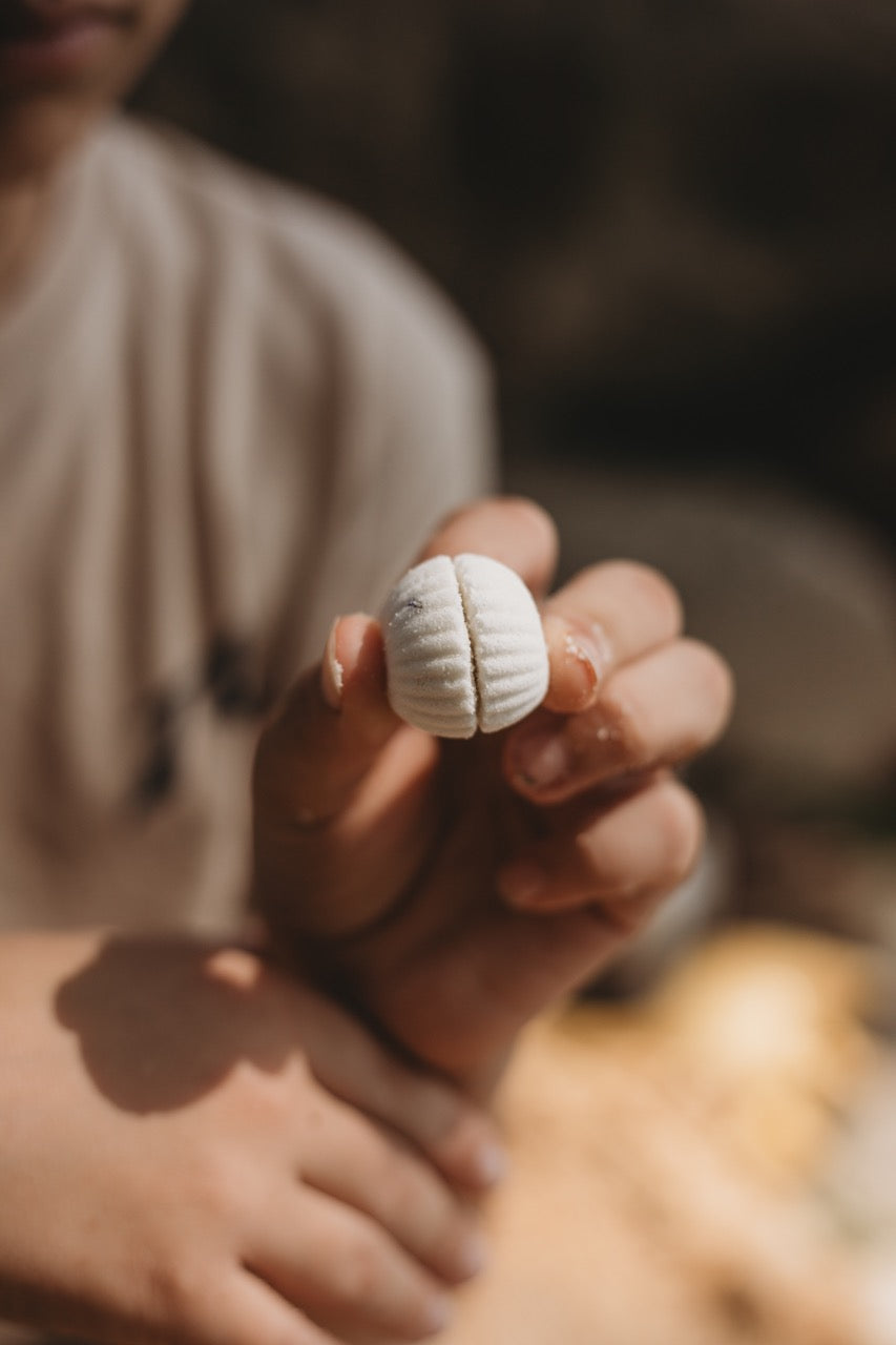 Mini Sea Shell Fizz Mix