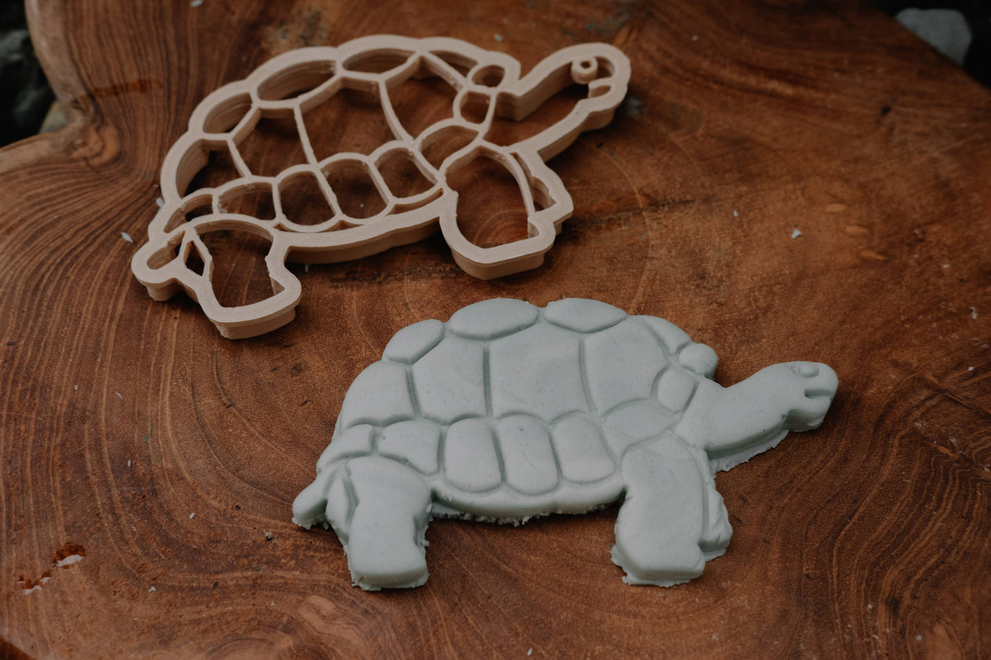 Tortoise Cutter - Eco Playdough Tool