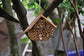 Hanging Bee House