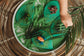Frog Nature Tube