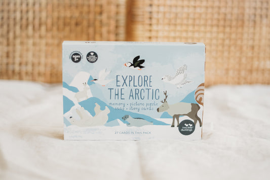 Explore the Arctic - Snap & Memory Game