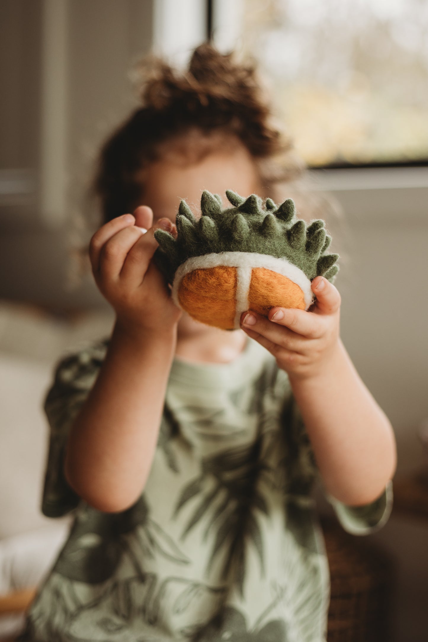 Felt Durian Fruit Play Food