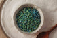 Seahorse Garden - Green & Blue Shimmery Ocean Eggs - SMALL - Potion Play & Sensory Ingredients