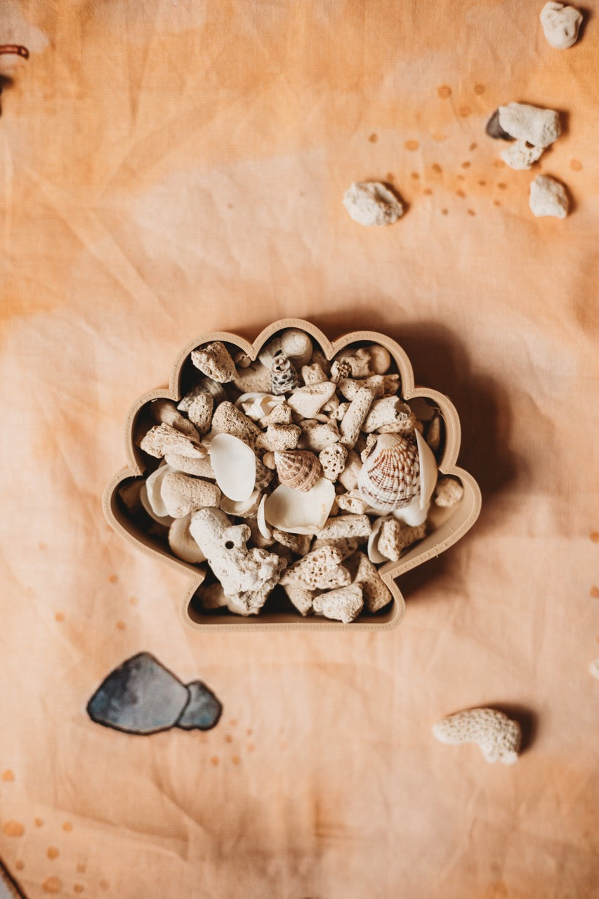 Sea Shell Eco Mould