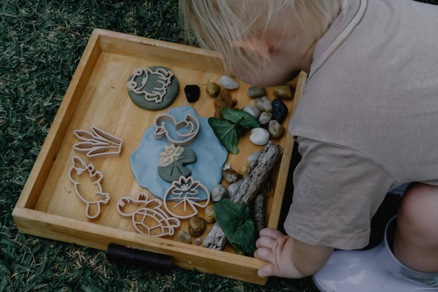 Pond life Cutter Set - Eco Playdough Tool