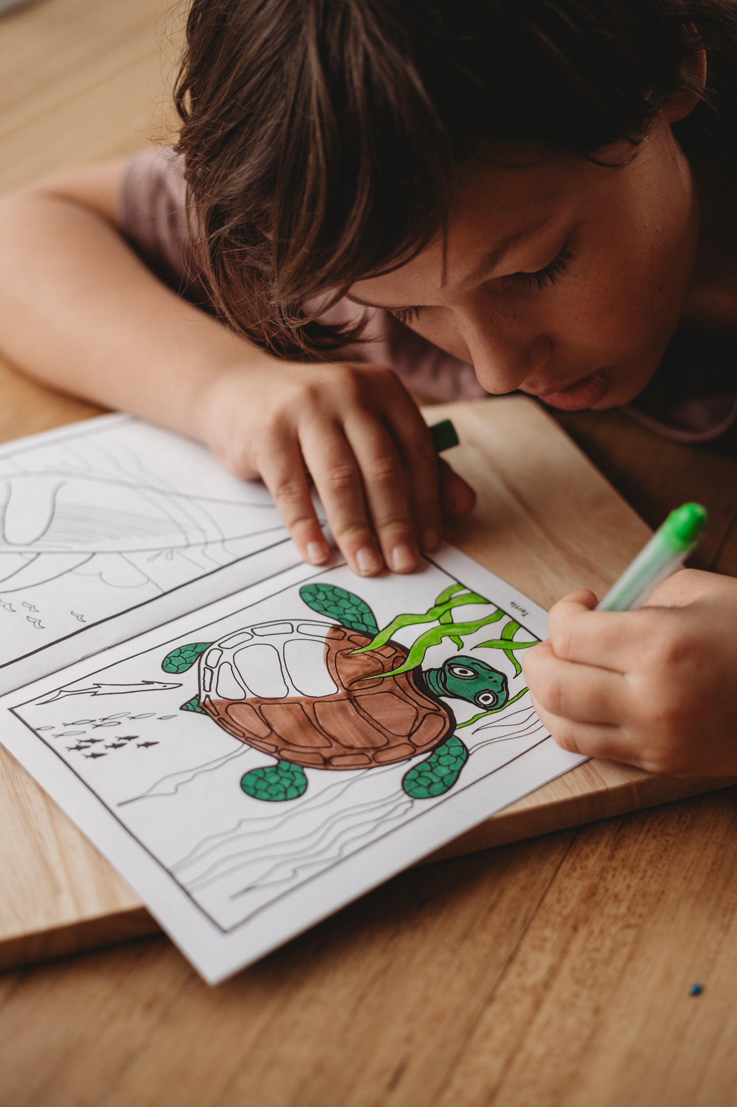 Set of 3 Colouring Books
