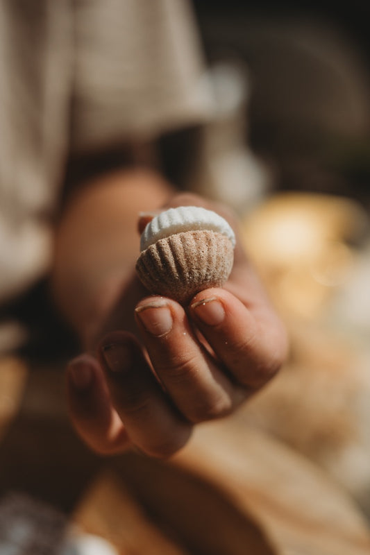 Mini Sea Shell Fizz Mix