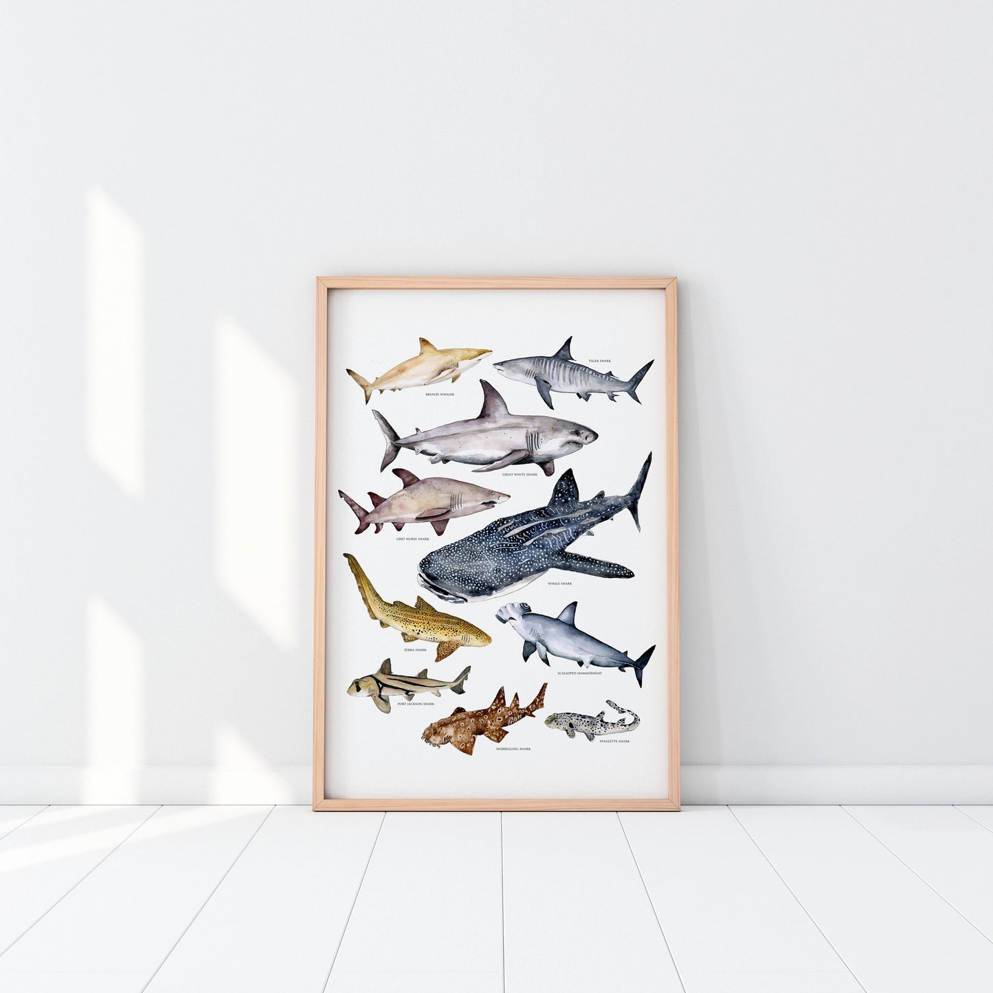 Australian Shark’s Poster A3