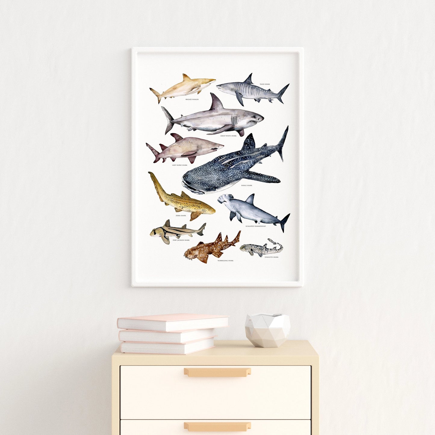 Australian Shark’s Poster A3