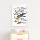 Australian Shark’s Poster A3