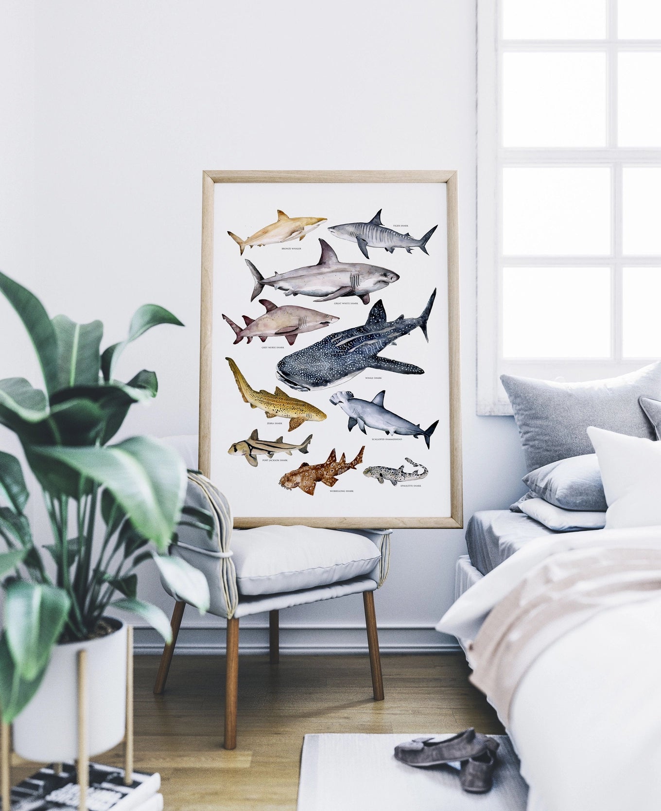 Australian Shark’s Poster A3
