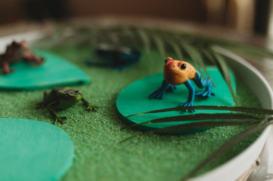 Frog Nature Tube
