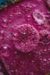 Berrylicious_Ice_Cream_Potion_Kit_for_Kids-_Large_sensory_potion_pouch_pink_fizz_ingredients the saltwater collective 