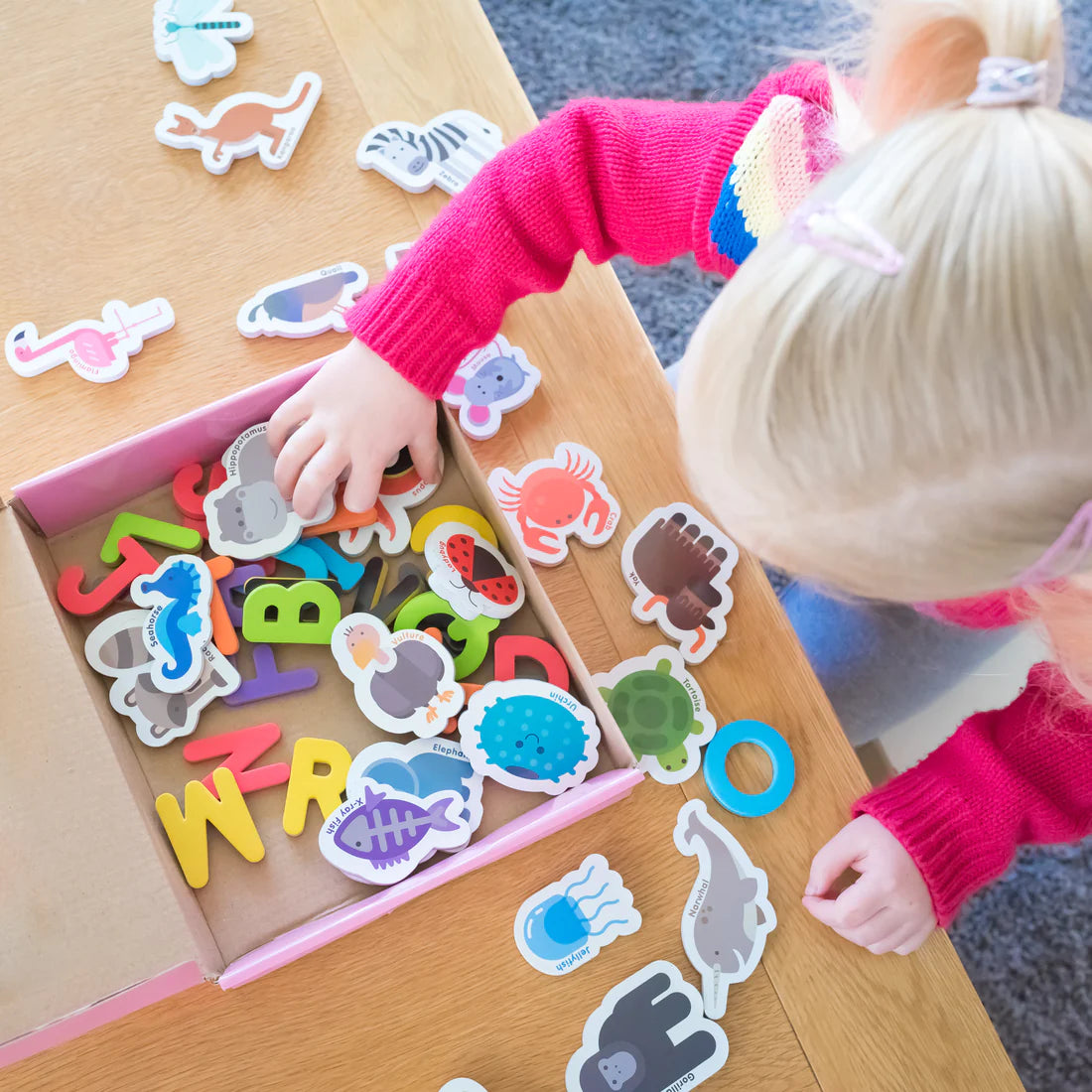 Curious columbus magnetic animals and letters