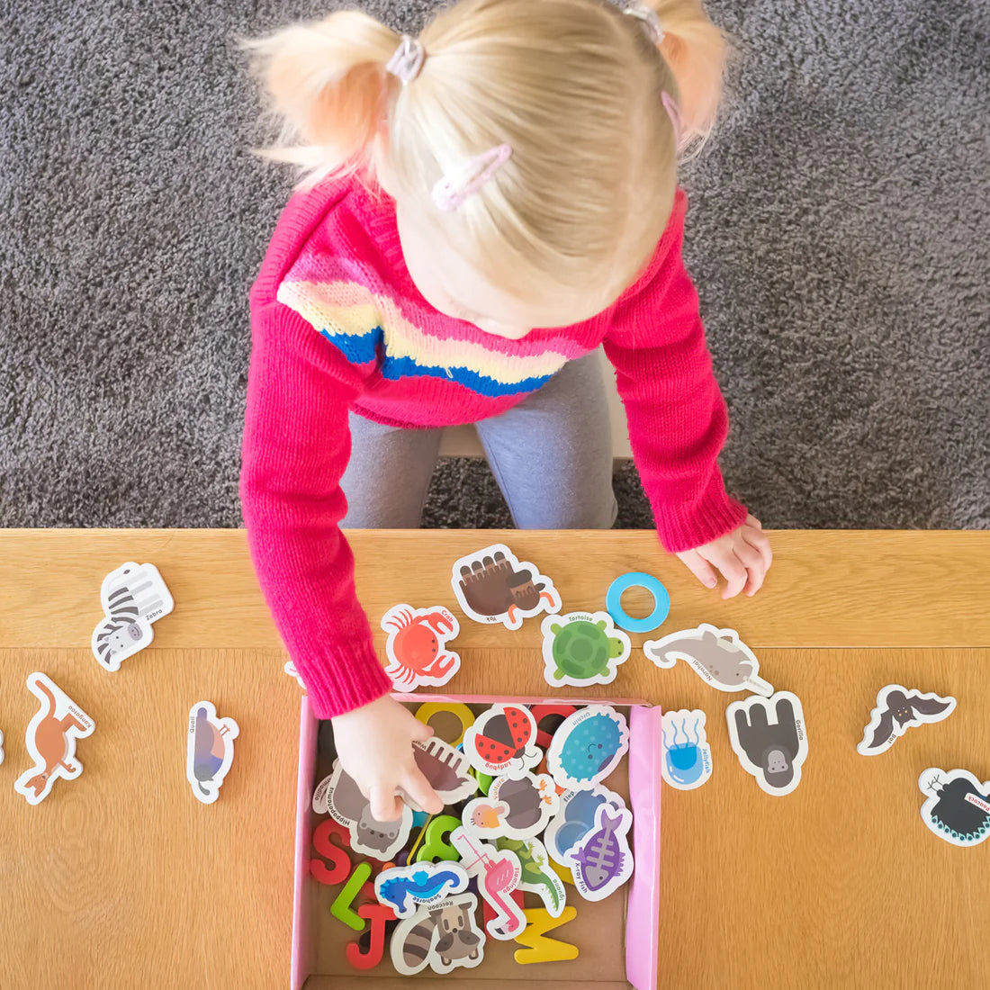 Curious columbus magnetic animals and letters