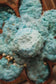 Earth Fizz Bomb